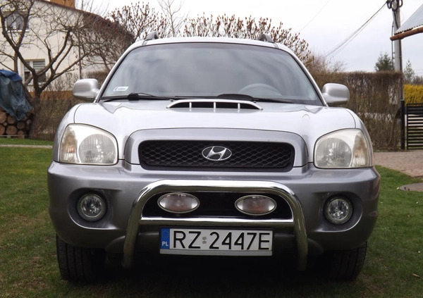 Hyundai Santa Fe cena 14700 przebieg: 292125, rok produkcji 2003 z Rzeszów małe 137